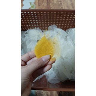 Set 5 Xương lá bồ đề size mini 2-3-4cm để trang trí, làm đồ handmade