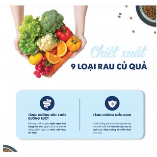 [1kg] Thức ăn hạt Today dinner cho chó trưởng thành cân bằng dinh dưỡng (1kg)