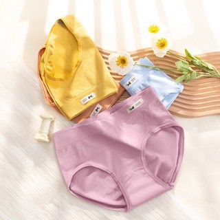 -Quần lót nữ cotton phối hình miu miu không đường may mã 524