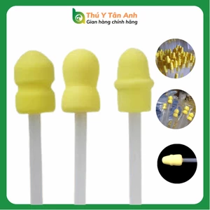 Que phối tinh heo đầu xốp phối nông giá sỉ rẻ nhất thị trường - Nâng tầm sinh sản