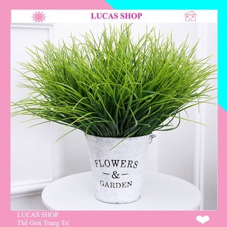 Cành mạ non 7 nhánh 30 cm trang trí nhà cửa, cắm chậu cây xanh, decor hàng rào