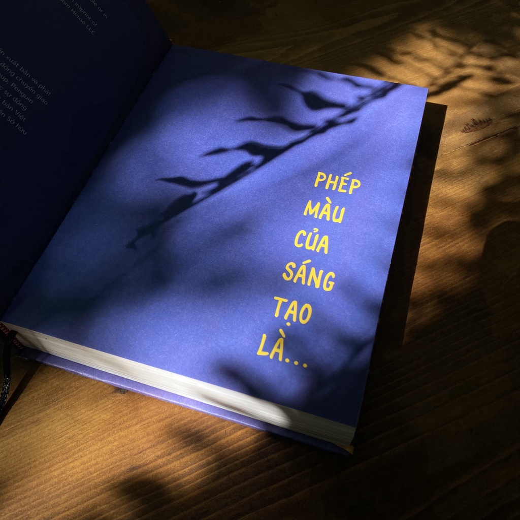 Ảnh Sách The Practice Ta giấu sáng tạo ở đâu? 3