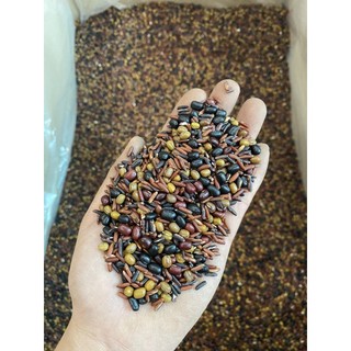 1KG TRÀ THẤT CỐC 7 VỊ - ĐẬU ĐỎ-ĐẬU XANH-ĐẬU ĐEN-GẠO LỨT-GẠO TÍM- LÁ DỨA-HOA NHÀI (TẶNG 1 VIÊN TRÀ HOA CÚC ĐƯỜNG PHÈN )