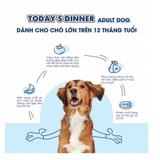 [1kg] Thức ăn hạt Today dinner cho chó trưởng thành cân bằng dinh dưỡng (1kg)