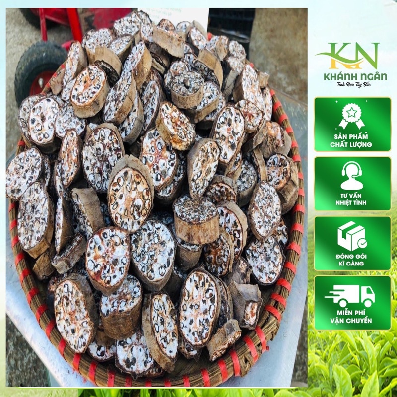Chuối Hột Rừng Thái Miếng Khô 1kg | Mùi Thơm, Ngâm tửu Đậm Vị, Sắc Uống Hằng Ngày