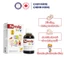 Combo 2 hộp Sắt Ferrolip Baby dạng siro vị đào thơm ngon Chai 30ml date mới