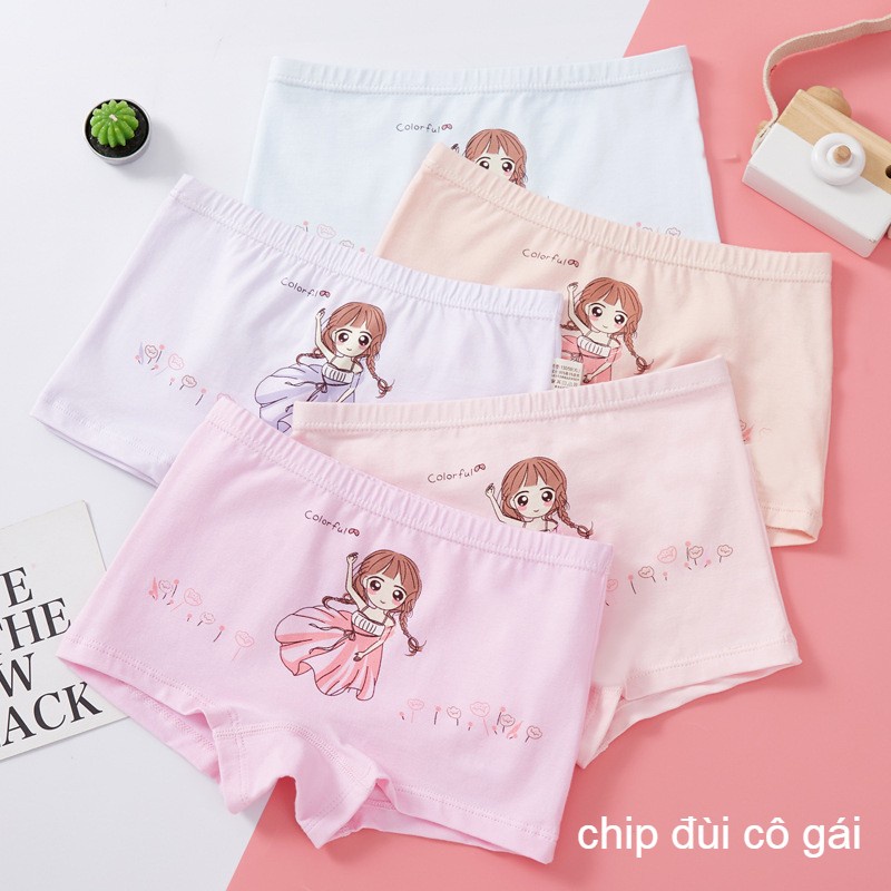 COMBO 5 Quần chip đùi cho bé gái từ 8-23kg