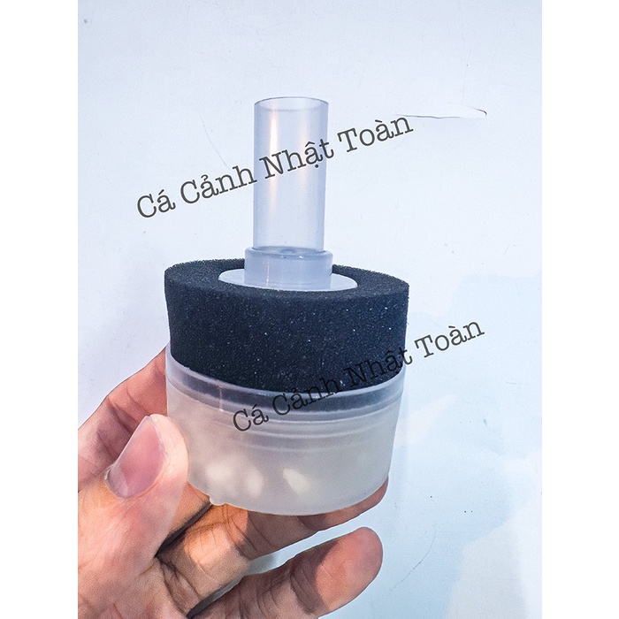 LỌC VI SINH CHO BỂ CÁ CẢNH XINYOU XY-168