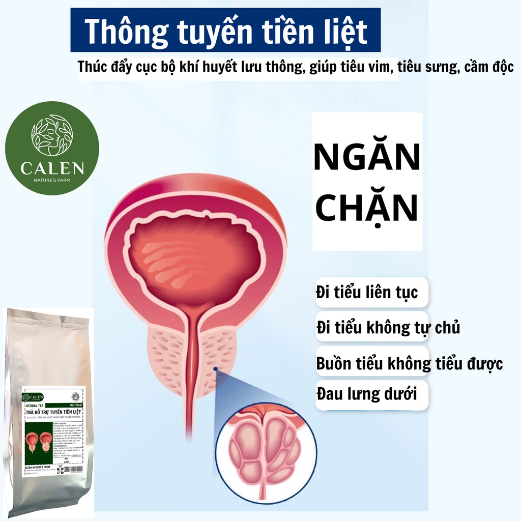 Trà túi lọc hỗ trợ tuyến tiền liệt, tăng cường khả năng sinh lý ở nam giới - Calen Nature Farm