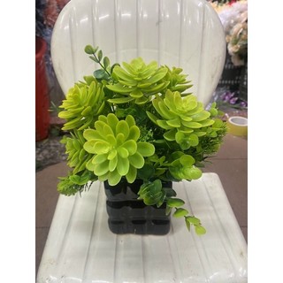 Sen đá chùm 5 bông cao cấp decor trang trí nhà cửa , chậu cây - Cây hoa giả