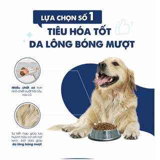 [1kg] Thức ăn hạt Today dinner cho chó trưởng thành cân bằng dinh dưỡng (1kg)
