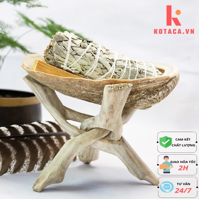 Xô Thơm Trắng ( Lá Sage ) Đốt Dạng Bó Khô - Vỏ Bào Ngư Đĩa Ốc Xà Cừ ...