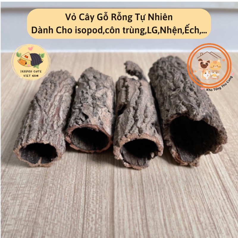 Vỏ Cây gỗ rỗng, thân cây rỗng tự nhiên cho isopod,bọ,côn trùng,rẵn,ếch ...