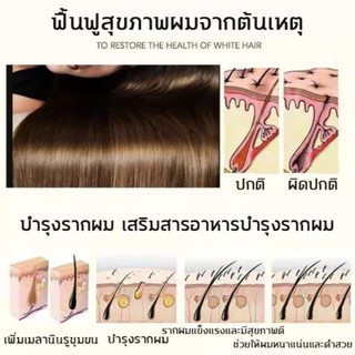 Dầu gội thường trực thực vật đen tự nhiên thảo dược hữu cơ tinh chất cho Nam Nữ 300ml