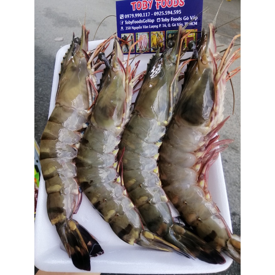 TÔM SÚ THIÊN NHIÊN - Tôm sú biển khổng lồ - Size 8-12 con/kg - Hàng ...