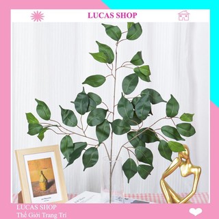 Lá giả - Cành lá si giả làm cây xanh cổ thụ trang trí nhà cửa quán cà phê rất đẹp