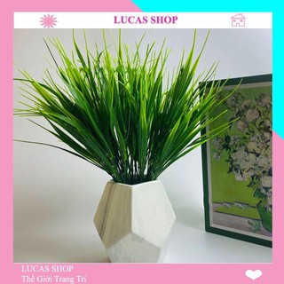 Cành mạ non 7 nhánh 30 cm trang trí nhà cửa, cắm chậu cây xanh, decor hàng rào