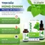 Xịt Họng Dr.Papie Dịch Chiết Húng Chanh dung tích 30ml
