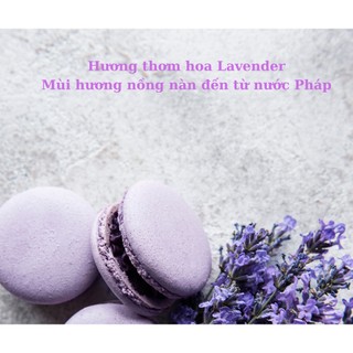 [TẶNG KÈM HỘP] Qùa tặng yêu thương - Túi thơm Hoa Lavender - Hoa Oải Hương LINDO - Hương thơm nồng nàn đến từ nước Pháp
