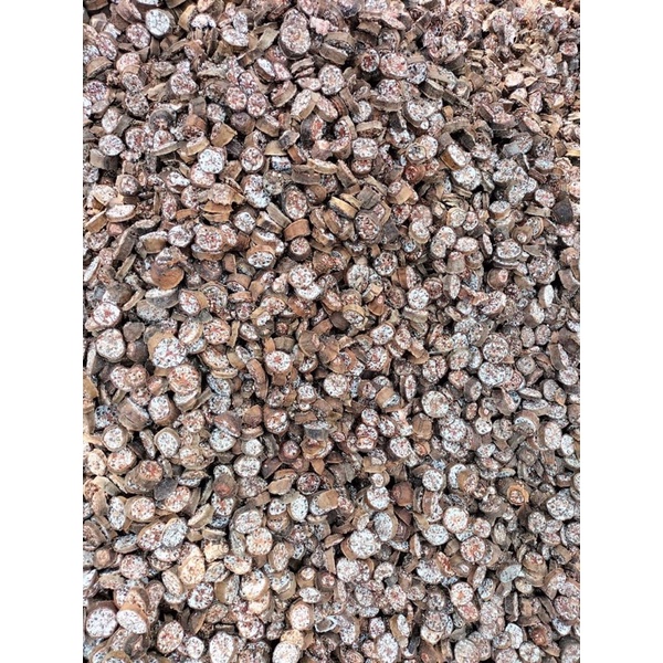 Chuối Hột Rừng Thái Miếng Khô 1kg | Mùi Thơm, Ngâm tửu Đậm Vị, Sắc Uống Hằng Ngày