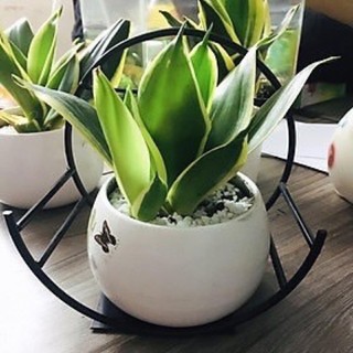 Giỏ Hoa Bán Nguyệt - Sơn chống gỉ 5 lớp, thiết kế sang trọng, giao hàng nhanh chóng, đổi trả dễ dàng.