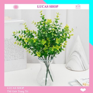 Cành cỏ tai chuột nhựa 5 nhánh 30cm trang trí nhà cửa, cắm chậu cây xanh, decor hàng rào