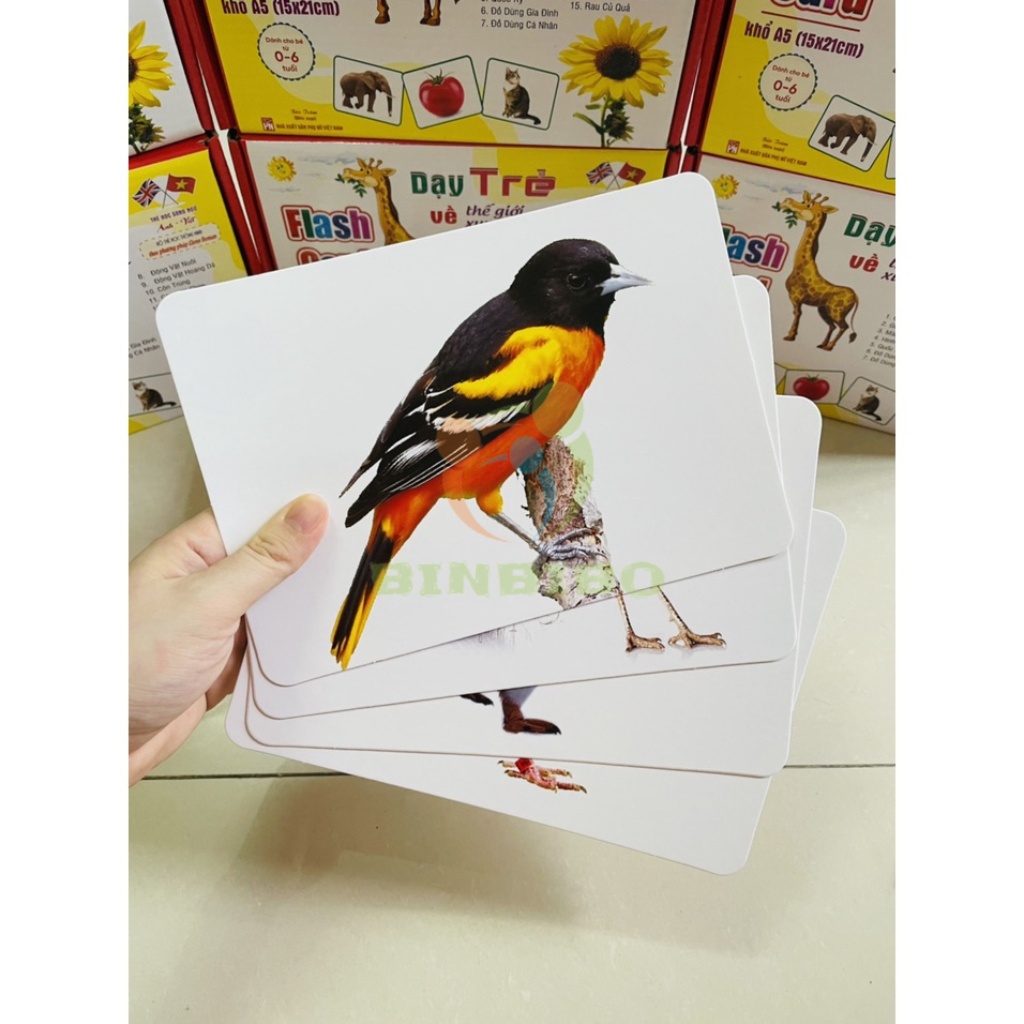 Thẻ học thông minh cho bé size to A5 15x21cm giúp bé phát triển trí tuệ - Binbibo
