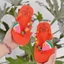 Dép Kẹp Xỏ Ngón Trẻ Em Đính Sticker Dưa Hấu Cao Cấp Handmade Dễ Thương Đế Cao Su Non Êm Chân