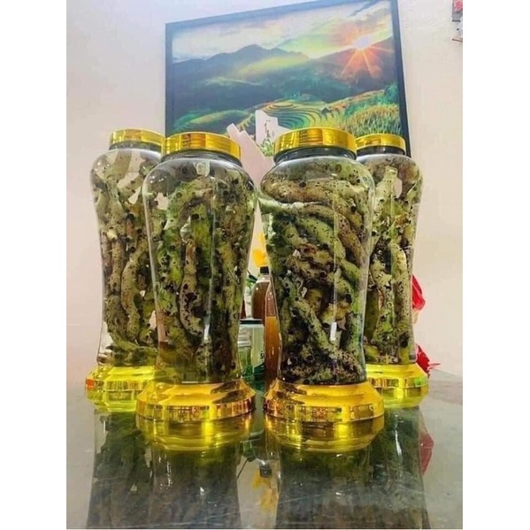 Cốt Toái Bổ (Tắc Kè Đá Xanh) Rừng Tây Bắc | Thơm Sạch Hàng Đẹp Tuyển Chọn 3kg