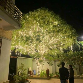Đèn Led F5 12V dùng trang trí sân vườn, cuốn cây (ducphong)