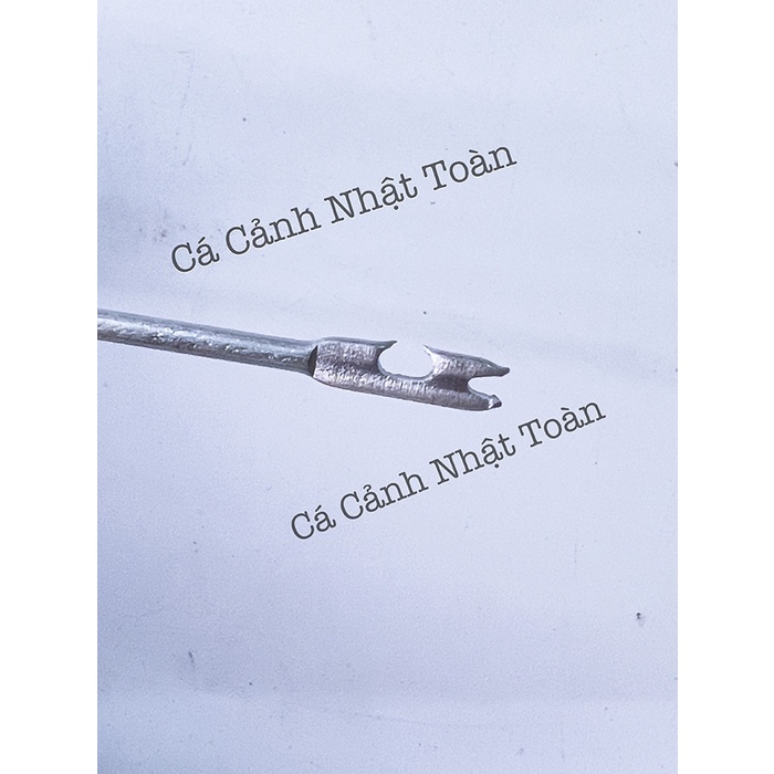 CÂY GỠ LƯỚI CÂU CÁ MIAN BAI TANG