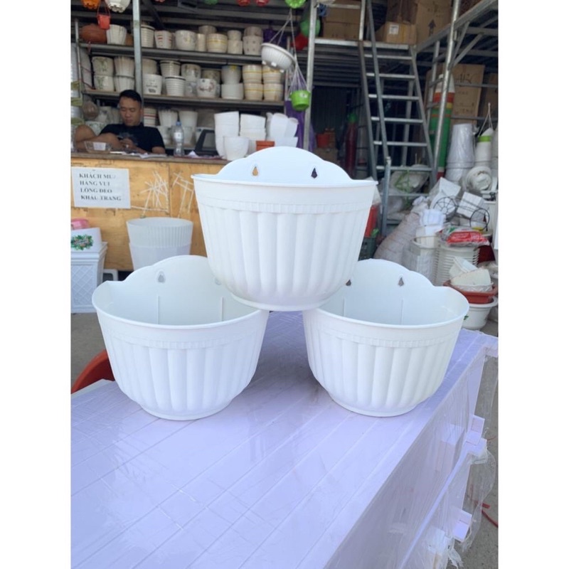 chậu ốp tường vân sọc hàng dày đẹp và có sẵn kho có nhiều màu