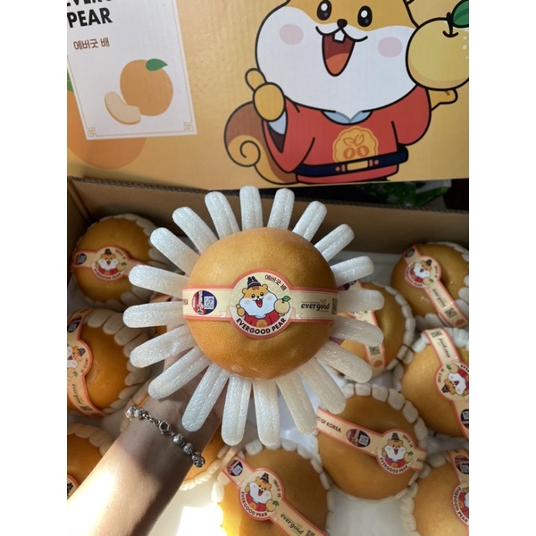 [ GIAO HỎA TỐC HCM ] [ JENNY FRUIT ]  Lê nâu và lẻ sữa Hàn Quốc