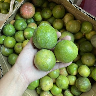 1kg Chanh Đào Tươi Hoà Bình ( Chanh cuối mùa)