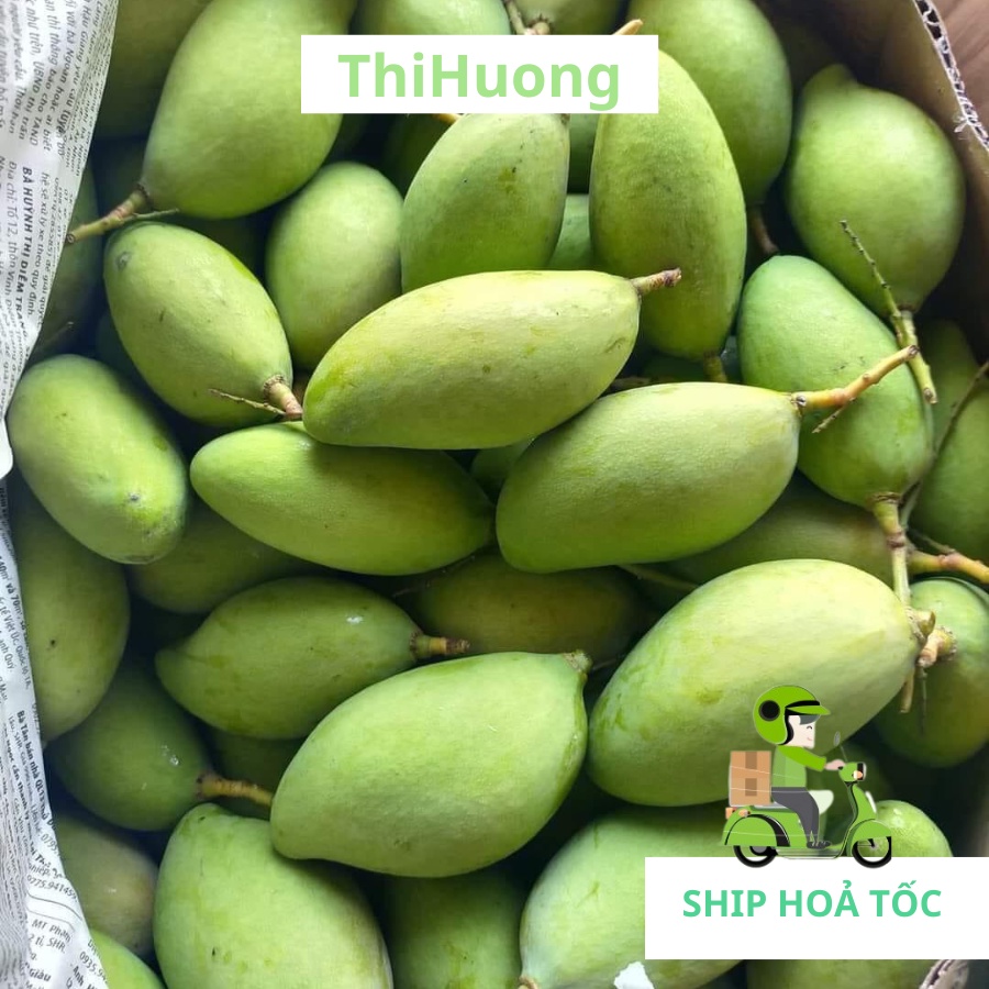 Xoài Bao Tử Hà Nội - Khám Phá Đặc Sản Nổi Bật & Những Điều Bạn Chưa Biết