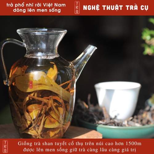 Trà phổ nhĩ shan tuyết cổ thụ Việt Nam đóng túi ziper 100gr