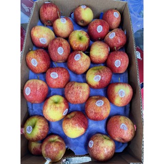 < JENNY FRUIT > TÁO ENVY NEWZEALAND GIÒN NGỌT