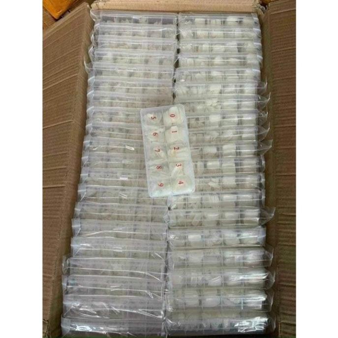 Móng up chân dài HSM chuẩn form