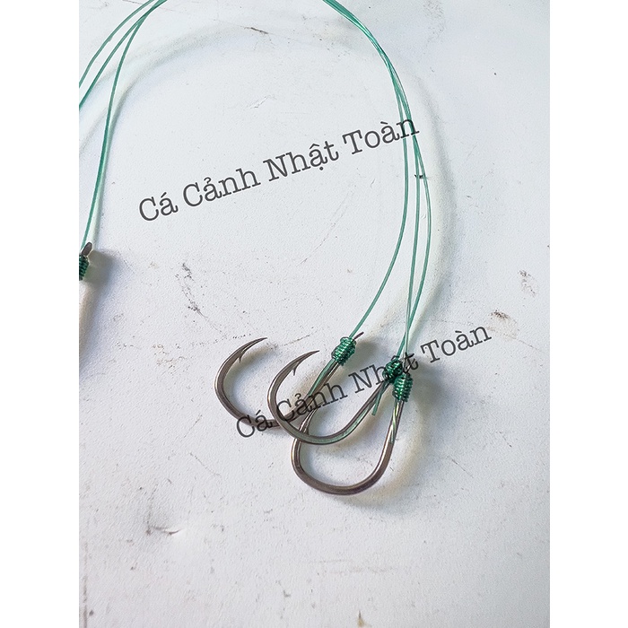 CHÙM NHO 4, NHO 6 LÀM SẴN CÂU CÁ