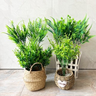 Cành cỏ tai chuột nhựa 5 nhánh 30cm trang trí nhà cửa, cắm chậu cây xanh, decor hàng rào