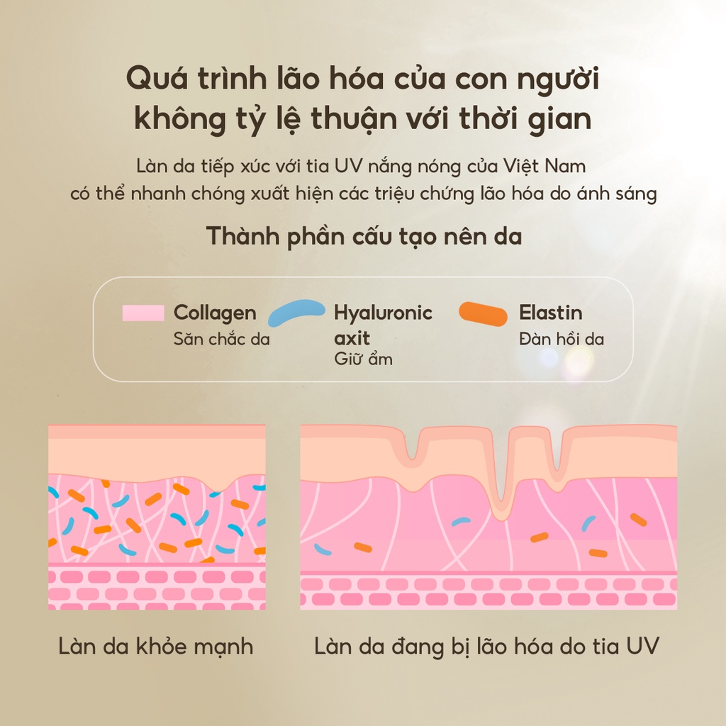 Ảnh Tinh chất dưỡng da Age 20's Biomelift Concentrate Serum 40ml 3