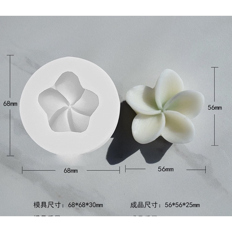 Khuôn silicon hoa sứ