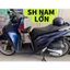 Ghế ngồi xe máy cho bé - Yên Nhựa, Không Tựa, An Toàn Cho Bé đi xe