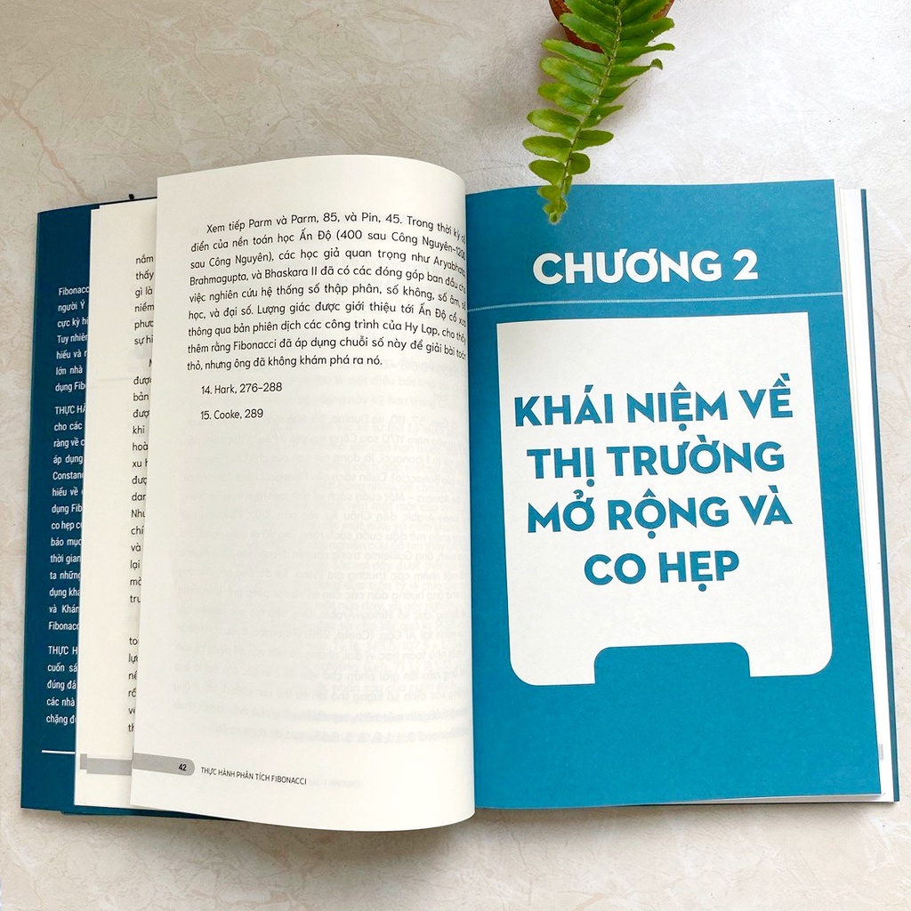Ảnh Sách Thực hành Phân tích Fibonacci - Hướng dẫn Phương pháp Fibonacci từ Nhà Quản Lý Quỹ kiêm Học giả CMT 4