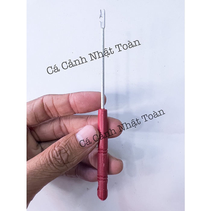 CÂY GỠ LƯỚI CÂU CÁ MIAN BAI TANG