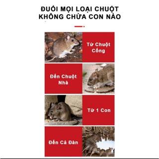 (HCM) KEM dạng gel đuổi tý chít chít (BAOTOGJIAN) an toàn cho Bà Bầu và trẻ em.