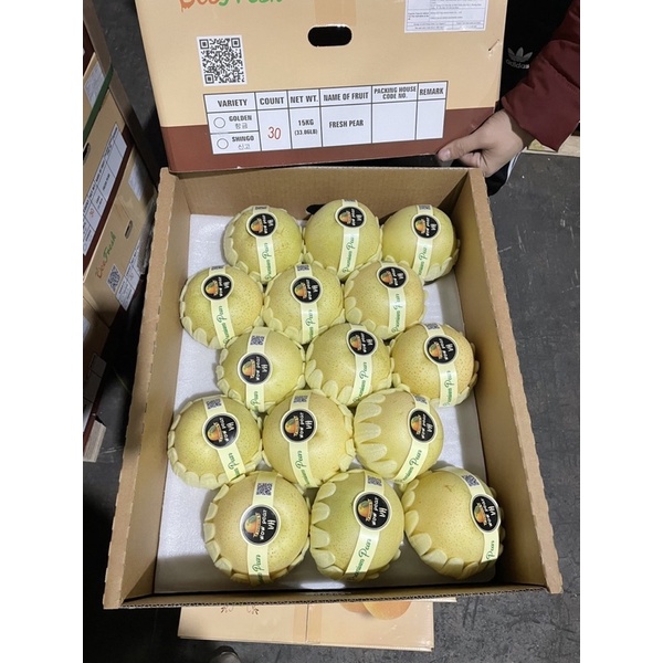 [ GIAO HỎA TỐC HCM ] [ JENNY FRUIT ]  Lê nâu và lẻ sữa Hàn Quốc