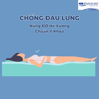 ( Ưu Đãi Sản Phẩm Mới ) Đệm Bông ép hàn quốc Tinh Khiết - Chống Đau Lưng , Đau Mỏi Vai Gáy - Mix Mầu