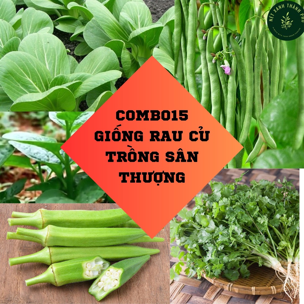 Deal 10K - Combo 15 Loại Hạt Giống Rau Củ Trồng Sân Thượng Đầy Đủ - Tập ...