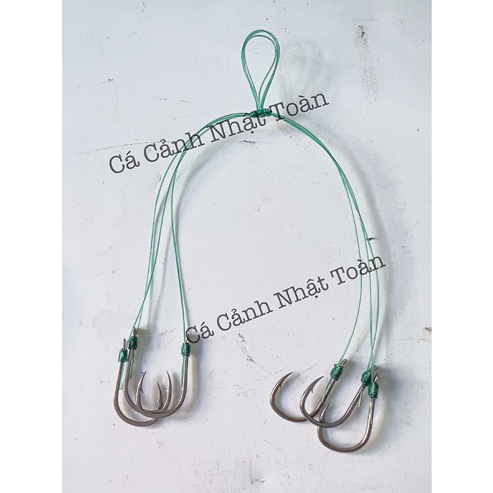 CHÙM NHO 4, NHO 6 LÀM SẴN CÂU CÁ